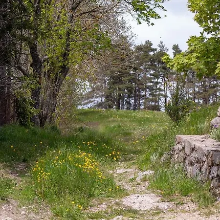 Le Randon - Wifi - Campagne - Parking * Rieutort